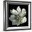 Anemone 2-Magda Indigo-Framed Photographic Print