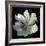 Anemone 2-Magda Indigo-Framed Photographic Print