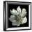 Anemone 2-Magda Indigo-Framed Photographic Print