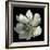 Anemone 2-Magda Indigo-Framed Photographic Print