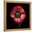 Anemone 3-Magda Indigo-Framed Premier Image Canvas