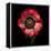 Anemone 3-Magda Indigo-Framed Premier Image Canvas