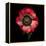 Anemone 3-Magda Indigo-Framed Premier Image Canvas