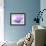 Anemone, Anemone Blanda, Bielefeld, Germany-Thorsten Milse-Framed Photographic Print displayed on a wall