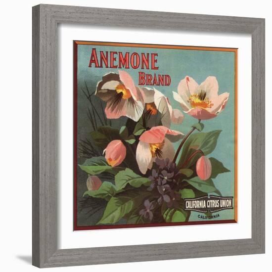 Anemone Brand - California - Citrus Crate Label-Lantern Press-Framed Art Print