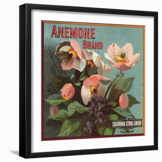 Anemone Brand - California - Citrus Crate Label-Lantern Press-Framed Art Print