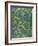 Anemone' Design-William Morris-Framed Giclee Print