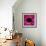 Anemone Flower (Anemone Sp.)-Cristina-Framed Premium Photographic Print displayed on a wall