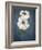 Anemone, Flower, Blossoms, Still Life, White, Blue-Axel Killian-Framed Photographic Print