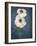 Anemone, Flower, Blossoms, Still Life, White, Blue-Axel Killian-Framed Photographic Print