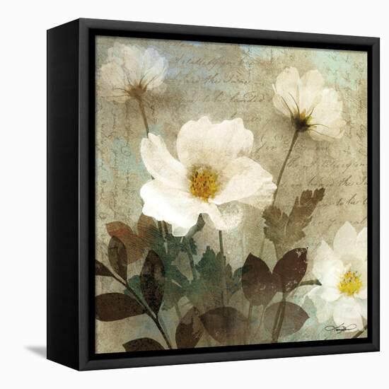 Anemone I-Keith Mallett-Framed Stretched Canvas