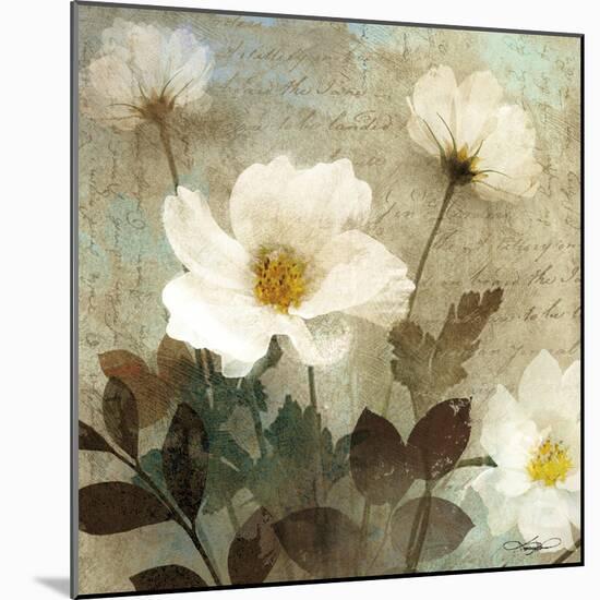 Anemone I-Keith Mallett-Mounted Art Print