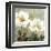 Anemone II-Keith Mallett-Framed Giclee Print