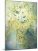 Anemone Japonica - White Queen and Molu-Karen Armitage-Mounted Giclee Print