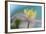 Anemone Nemorosa-Heidi Westum-Framed Photographic Print