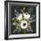 Anemone Posy I-null-Framed Premium Giclee Print