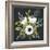 Anemone Posy I-null-Framed Art Print