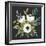 Anemone Posy I-null-Framed Art Print