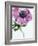 Anemone Rose-Amelie Vuillon-Framed Art Print