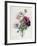 Anemone: Simple, from "Les Choix Des Plus Belles Fleurs"-Pierre-Joseph Redouté-Framed Giclee Print