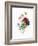 Anemone Simplex-Pierre-Joseph Redouté-Framed Giclee Print