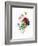 Anemone Simplex-Pierre-Joseph Redouté-Framed Giclee Print