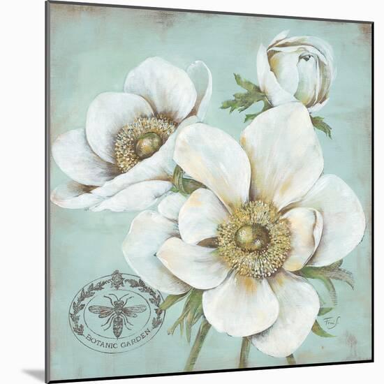 Anemone Stamp-Stefania Ferri-Mounted Art Print