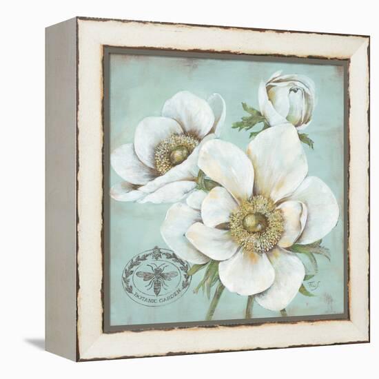 Anemone Stamp-Stefania Ferri-Framed Stretched Canvas