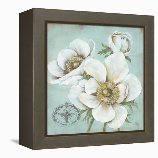 Anemone Stamp-Stefania Ferri-Framed Stretched Canvas