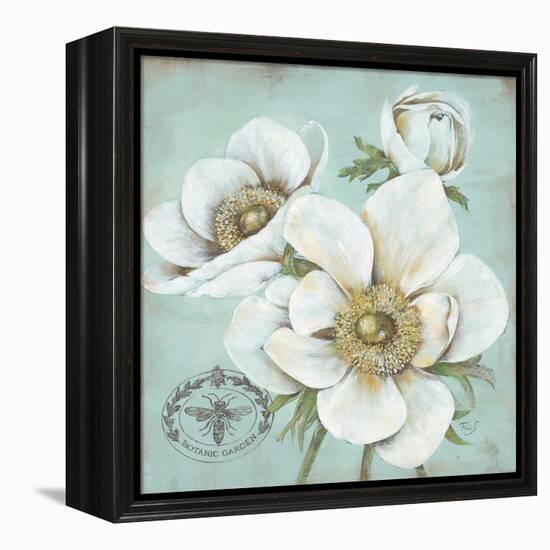 Anemone Stamp-Stefania Ferri-Framed Stretched Canvas