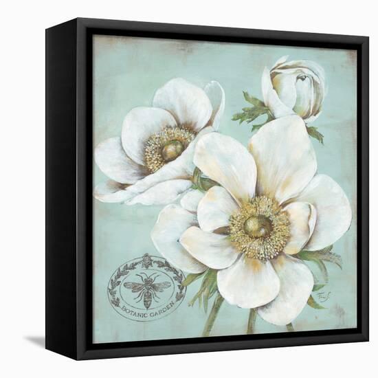 Anemone Stamp-Stefania Ferri-Framed Stretched Canvas