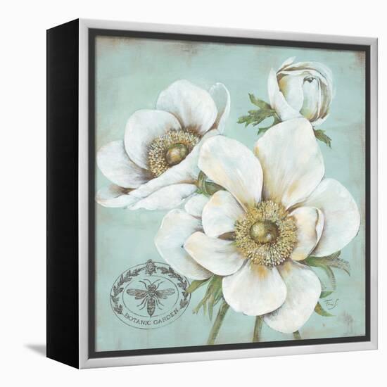 Anemone Stamp-Stefania Ferri-Framed Stretched Canvas