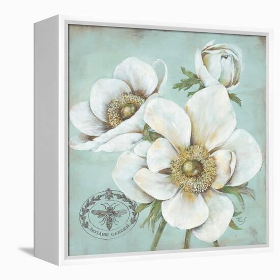 Anemone Stamp-Stefania Ferri-Framed Stretched Canvas