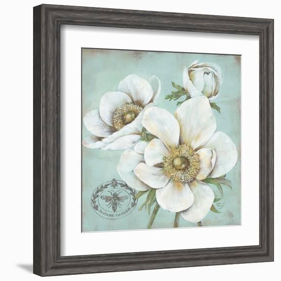 Anemone Stamp-Stefania Ferri-Framed Art Print