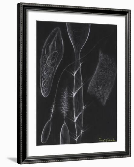 Anemone Stinging Cells-Philip Henry Gosse-Framed Giclee Print