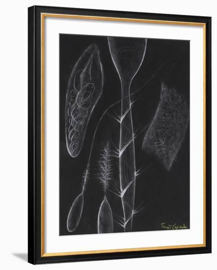 Anemone Stinging Cells-Philip Henry Gosse-Framed Giclee Print