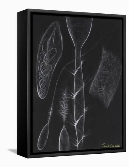 Anemone Stinging Cells-Philip Henry Gosse-Framed Premier Image Canvas