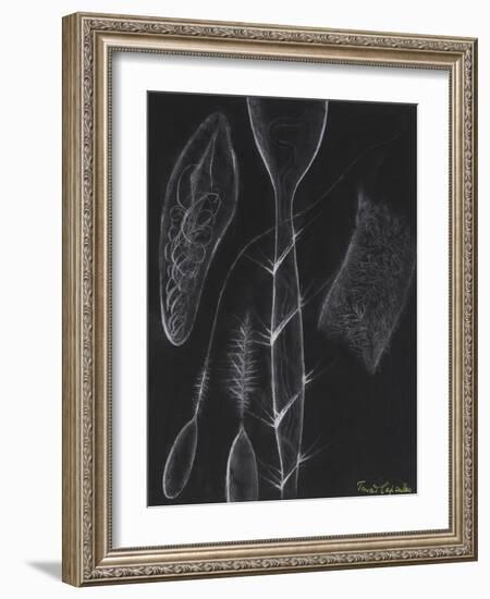 Anemone Stinging Cells-Philip Henry Gosse-Framed Giclee Print