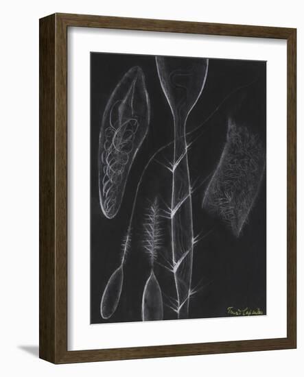 Anemone Stinging Cells-Philip Henry Gosse-Framed Giclee Print