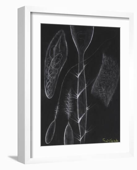 Anemone Stinging Cells-Philip Henry Gosse-Framed Giclee Print