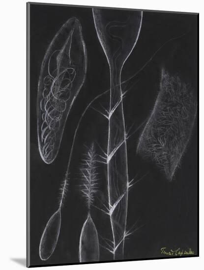 Anemone Stinging Cells-Philip Henry Gosse-Mounted Giclee Print