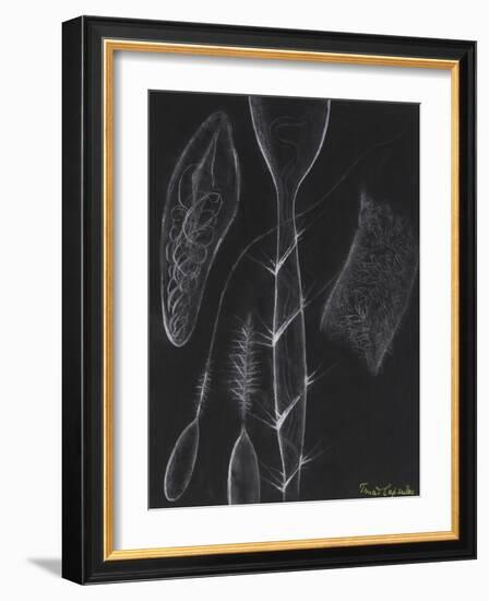 Anemone Stinging Cells-Philip Henry Gosse-Framed Giclee Print