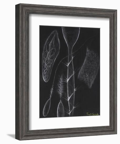 Anemone Stinging Cells-Philip Henry Gosse-Framed Giclee Print