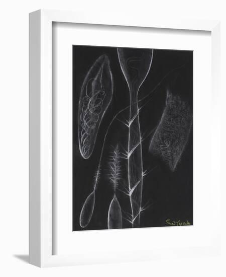 Anemone Stinging Cells-Philip Henry Gosse-Framed Giclee Print