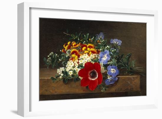 Anemone, White Spirea, Calceolaria and Blue Geranium-Johan Laurentz Jensen-Framed Giclee Print