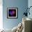 Anemone-Magda Indigo-Framed Photographic Print displayed on a wall