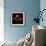 Anemone-Magda Indigo-Framed Photographic Print displayed on a wall