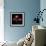 Anemone-Magda Indigo-Framed Photographic Print displayed on a wall