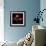 Anemone-Magda Indigo-Framed Photographic Print displayed on a wall