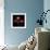 Anemone-Magda Indigo-Framed Photographic Print displayed on a wall